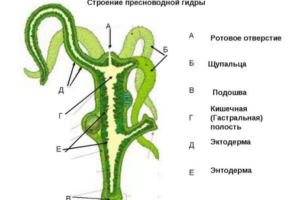 Блэк спрут диспут